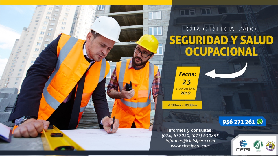 CURSO SEGURIDAD Y SALUD OCUPACIONAL 2