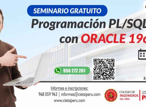 SEMINARIO GRATUITO PROGRAMACIÓN PL SQL CON ORACLE 19C