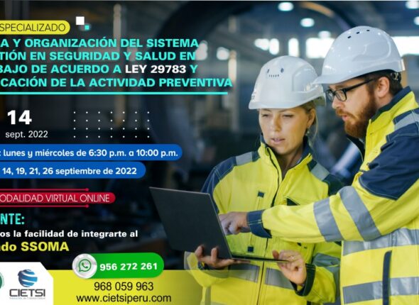 CURSO ESPECIALIZADO POLÍTICA Y ORGANIZACIÓN DEL SISTEMA DE GESTIÓN EN SEGURIDAD Y SALUD EN EL TRABAJO DE ACUERDO A LEY 29783 Y PLANIFICACIÓN DE LA ACTIVIDAD PREVENTIVA
