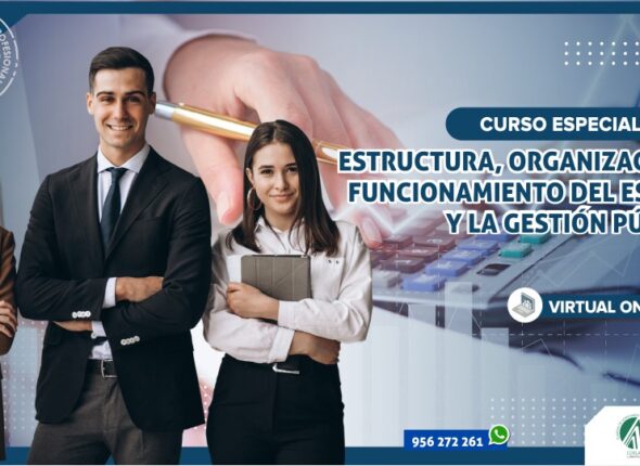 CURSO ESPECIALIZADO ESTRUCTURA, ORGANIZACIÓN Y FUNCIONAMIENTO DEL ESTADO Y LA GESTIÓN PÚBLICA 2020