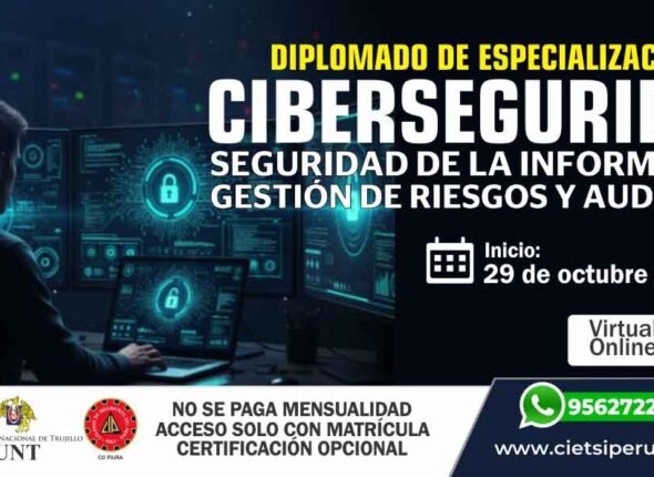 DIPLOMADO DE ESPECIALIZACIÓN EN CIBERSEGURIDAD, SEGURIDAD DE LA INFORMACIÓN, GESTIÓN DE RIESGOS Y AUDITORÍA 2025 (2DA EDICIÓN)